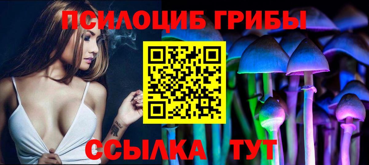 Галлюциногенные грибы MAGIC MUSHROOMS  Вход с VPN  Волхов  Псилоцибиновые грибы Psilocybine cubensis 